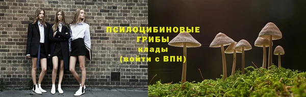 твердый Арсеньев