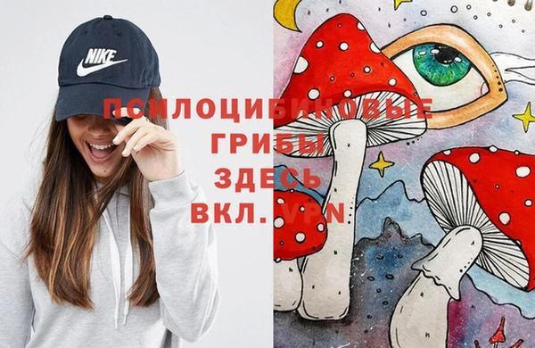 Альфа ПВП Балабаново