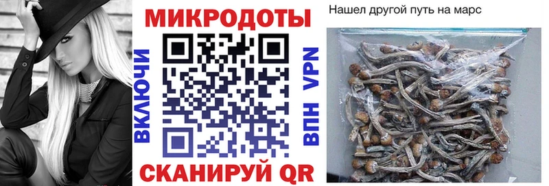 наркошоп Нефтегорск Галлюциногенные грибы Psilocybine cubensis